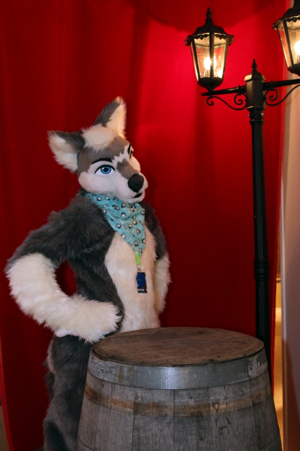 NordicFuzzCon 2014, Indoor photos