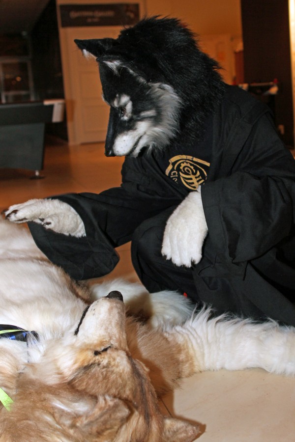 NordicFuzzCon 2014, Indoor photos