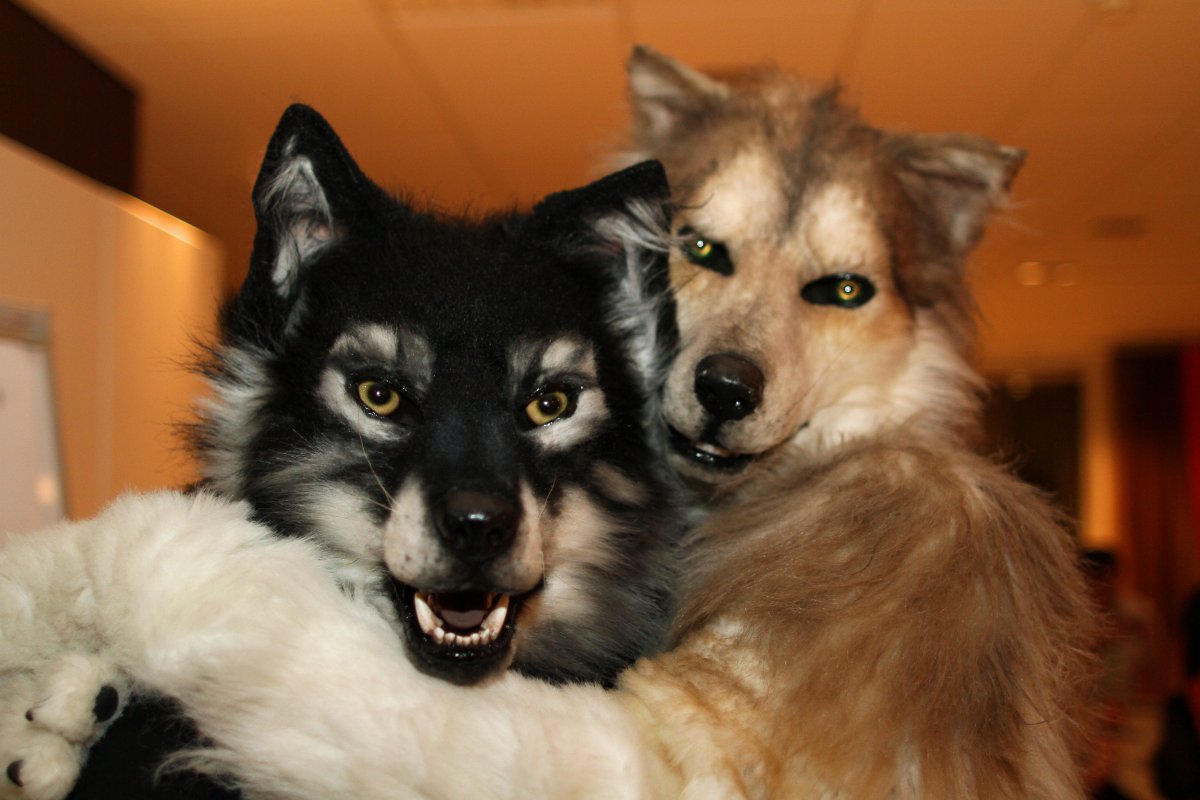 NordicFuzzCon 2014, Indoor photos