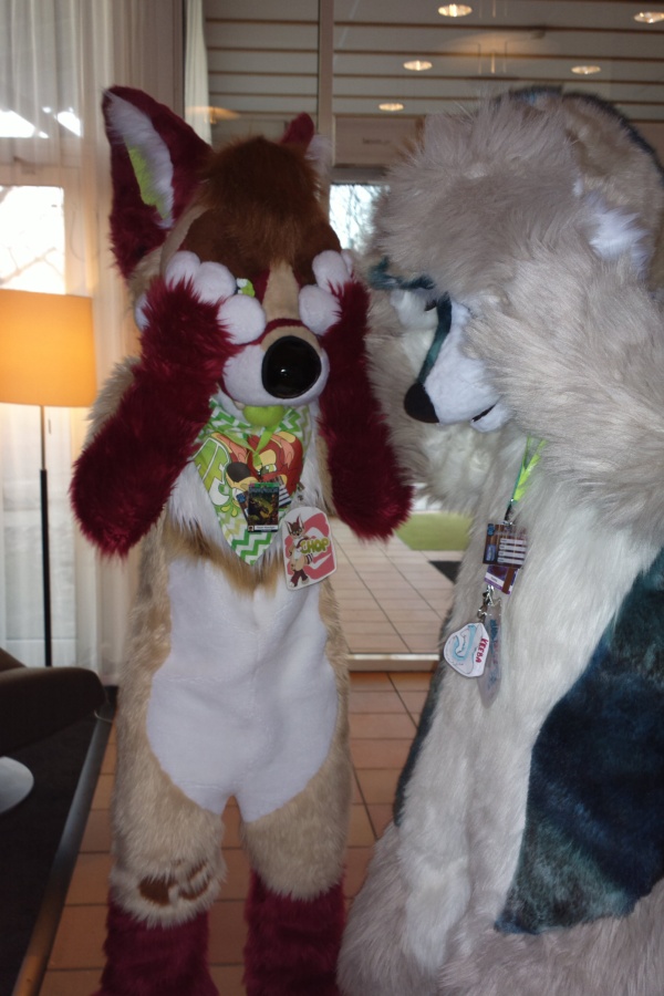 NordicFuzzCon 2015, More fursuits