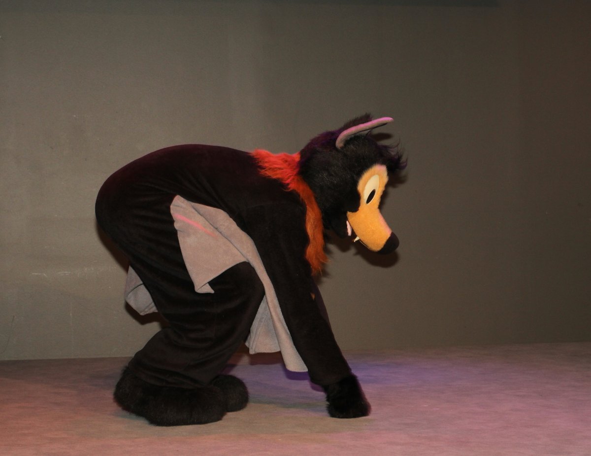 NordicFuzzCon 2015, Fursuits