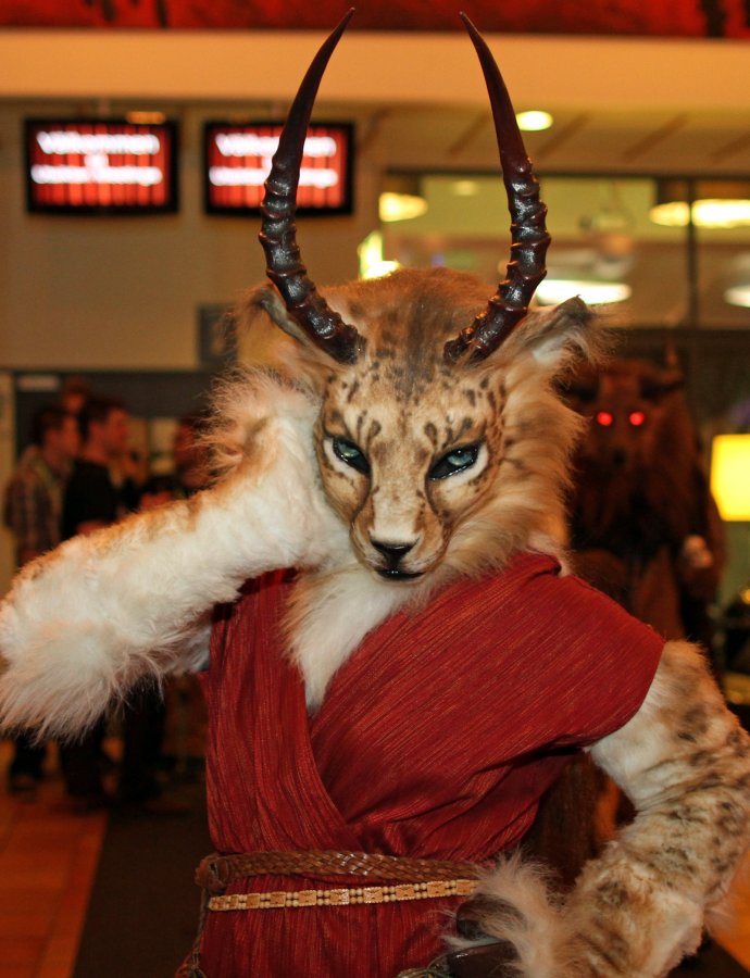 NordicFuzzCon 2015, Fursuits