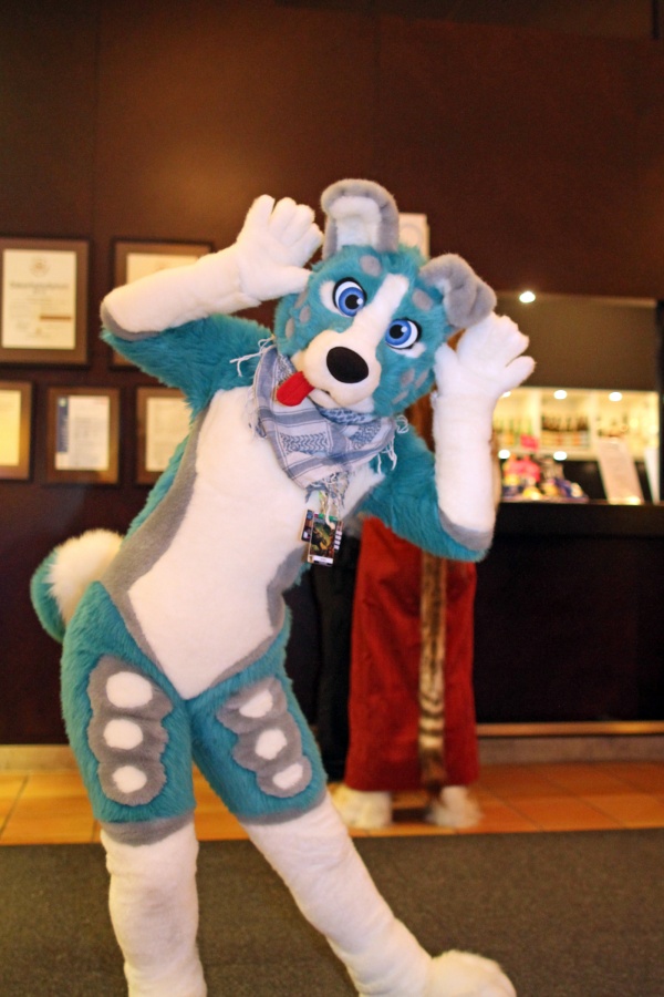 NordicFuzzCon 2015, Fursuits