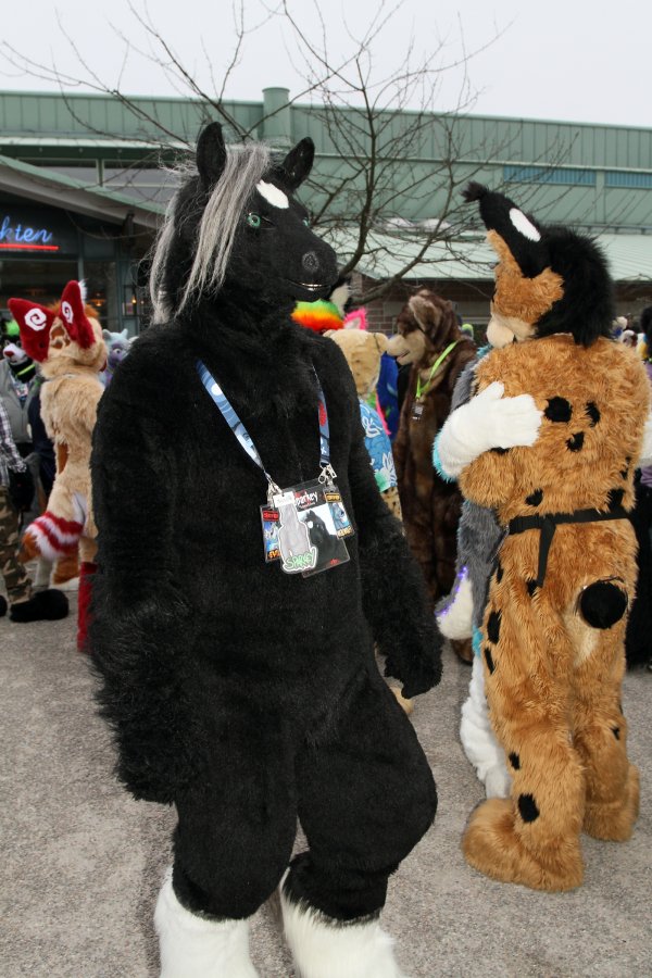 NordicFuzzCon 2015, Fursuits