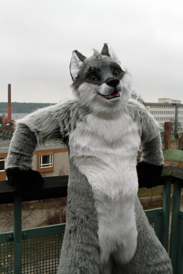 NordicFuzzCon 2015, Fursuits