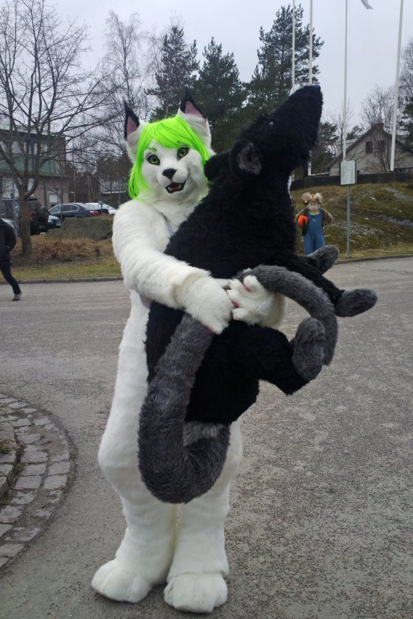 NordicFuzzCon 2015, Fursuits