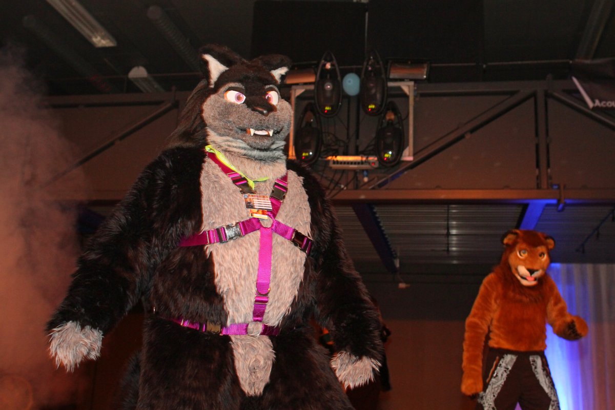NordicFuzzCon 2015, Music & Dances