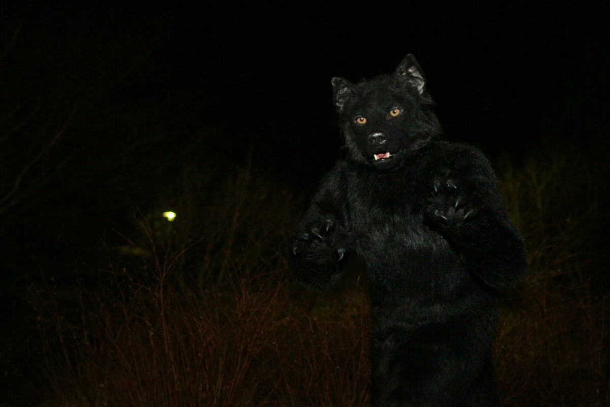 NordicFuzzCon 2015, Fursuits