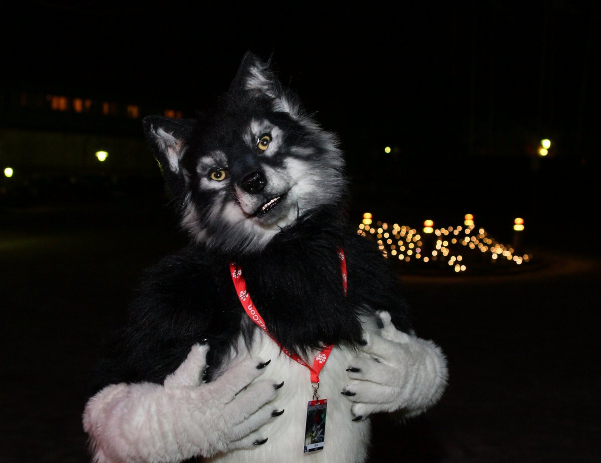 NordicFuzzCon 2015, Fursuits