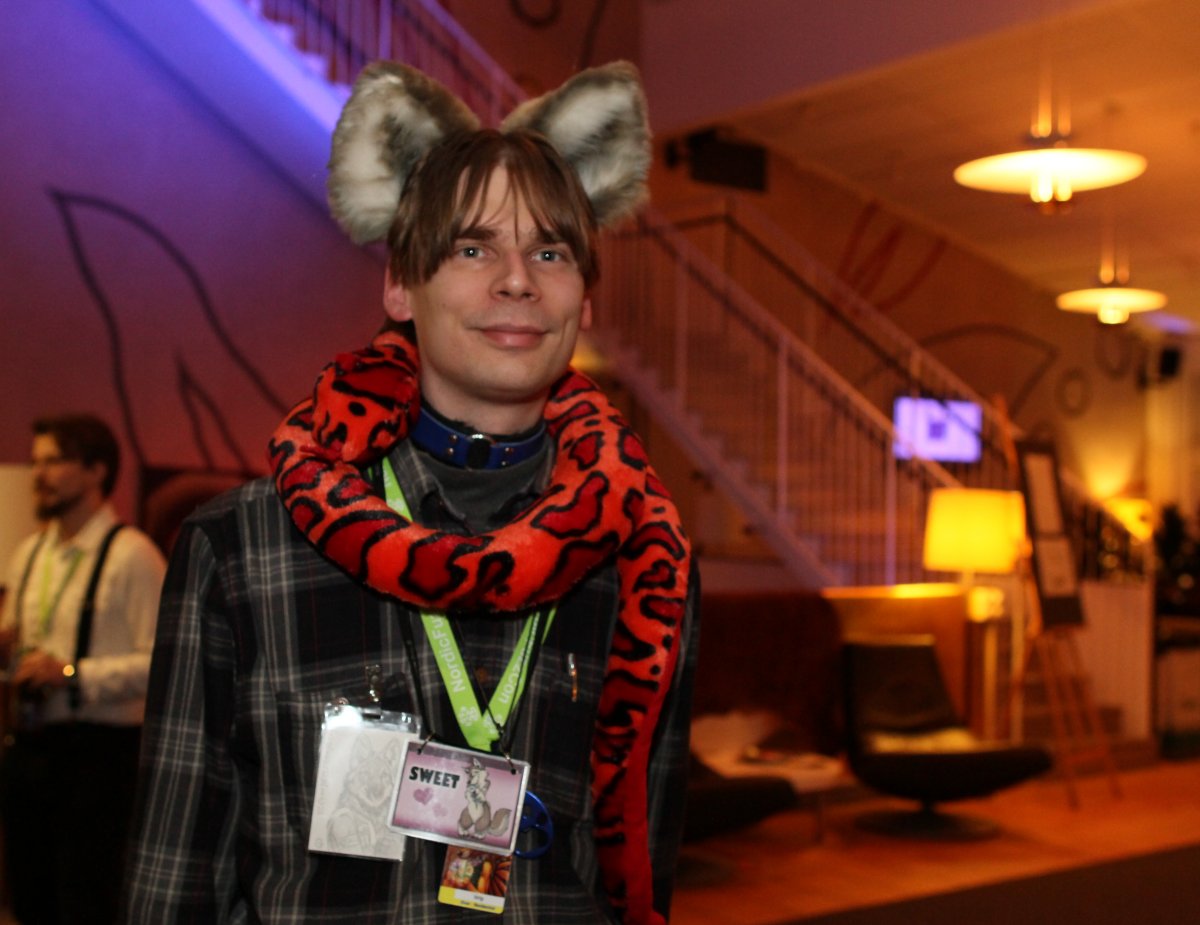 NordicFuzzCon 2015, Everything else