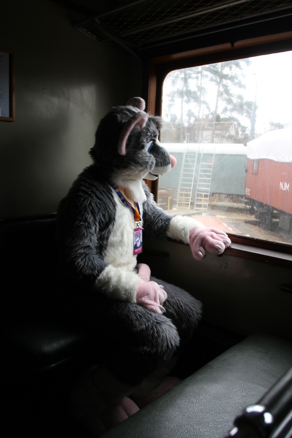 NordicFuzzCon 2016, Convention events