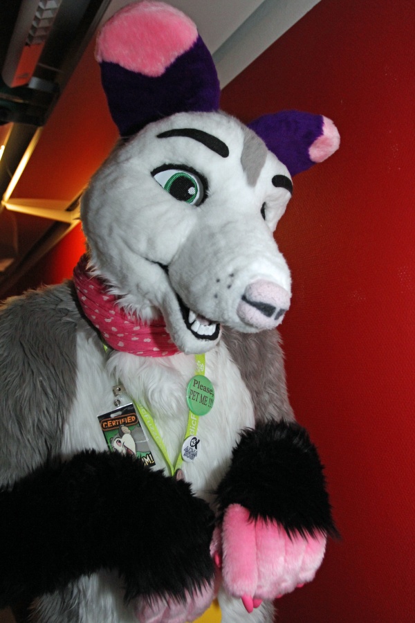 NordicFuzzCon 2016, Fursuits
