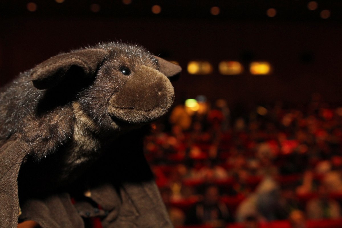 NordicFuzzCon 2016, Convention events