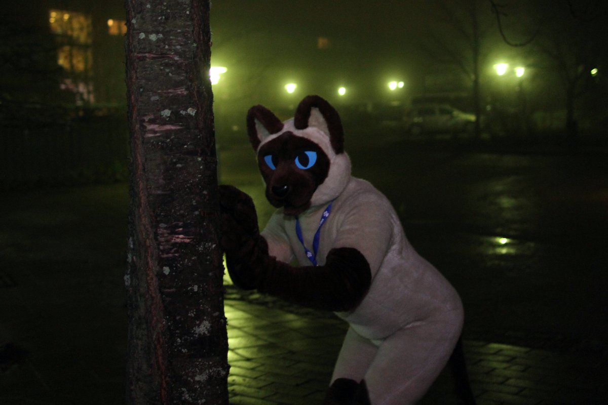 NordicFuzzCon 2016, Outdoor photos
