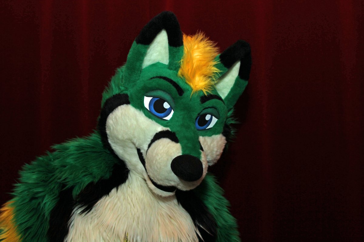 NordicFuzzCon 2016, Fursuits
