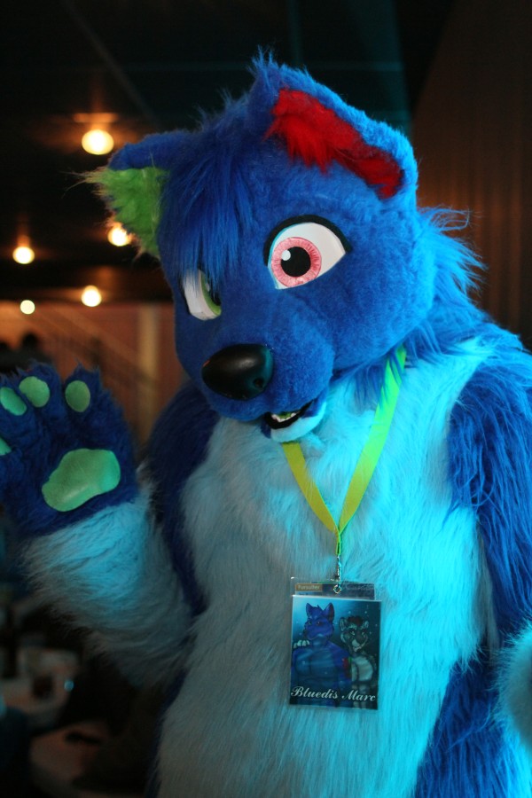NordicFuzzCon 2016, Fursuits