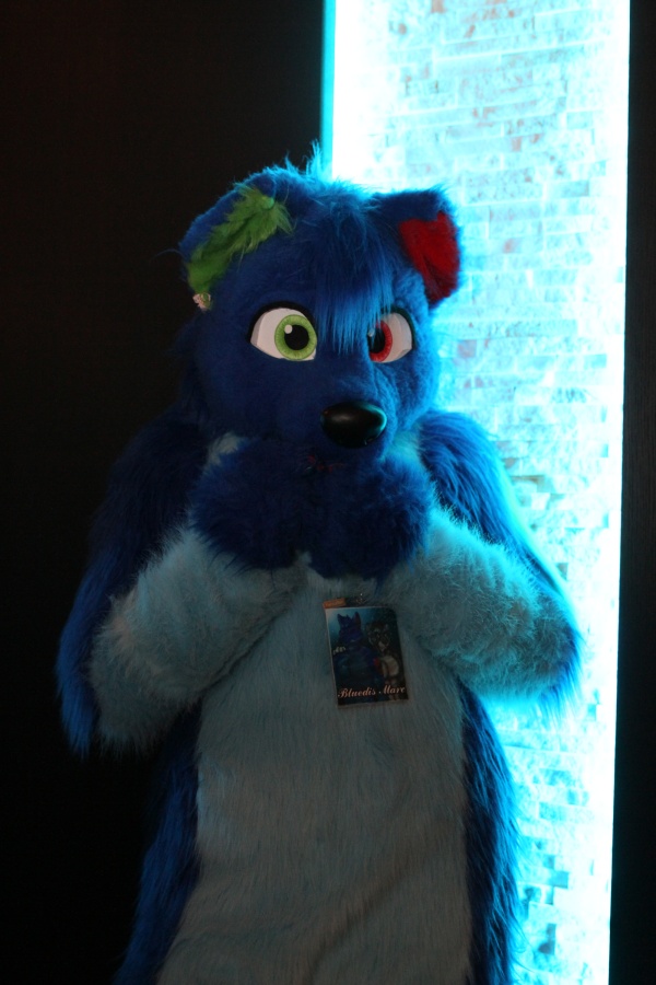 NordicFuzzCon 2016, Fursuits