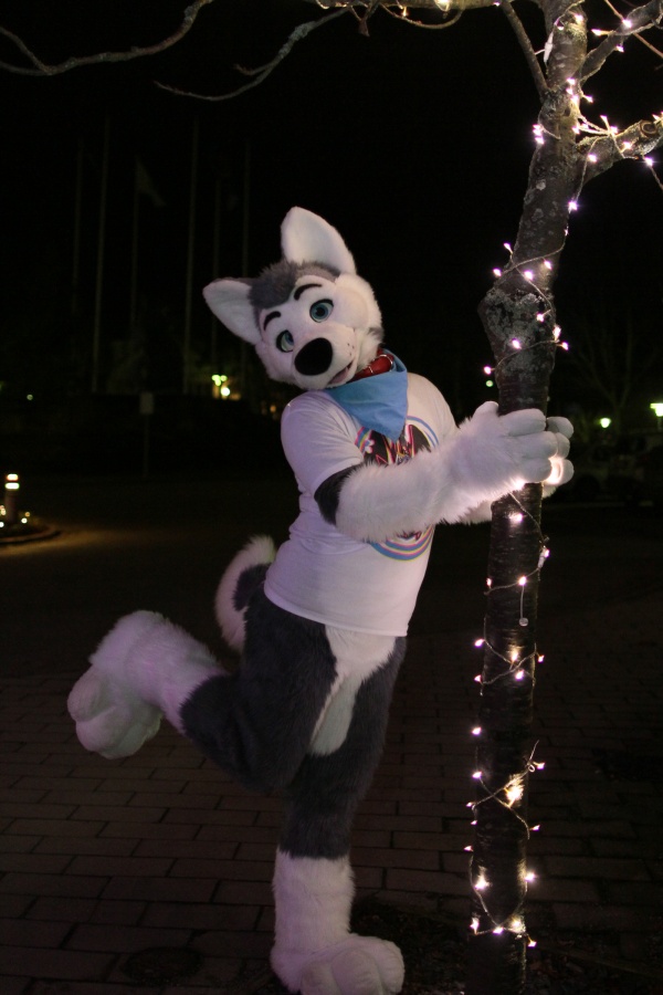 NordicFuzzCon 2016, Outdoor photos
