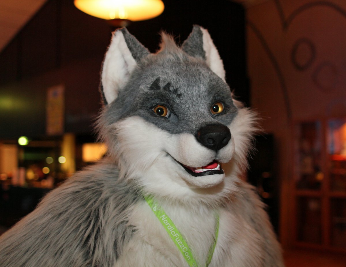 NordicFuzzCon 2016, Fursuits