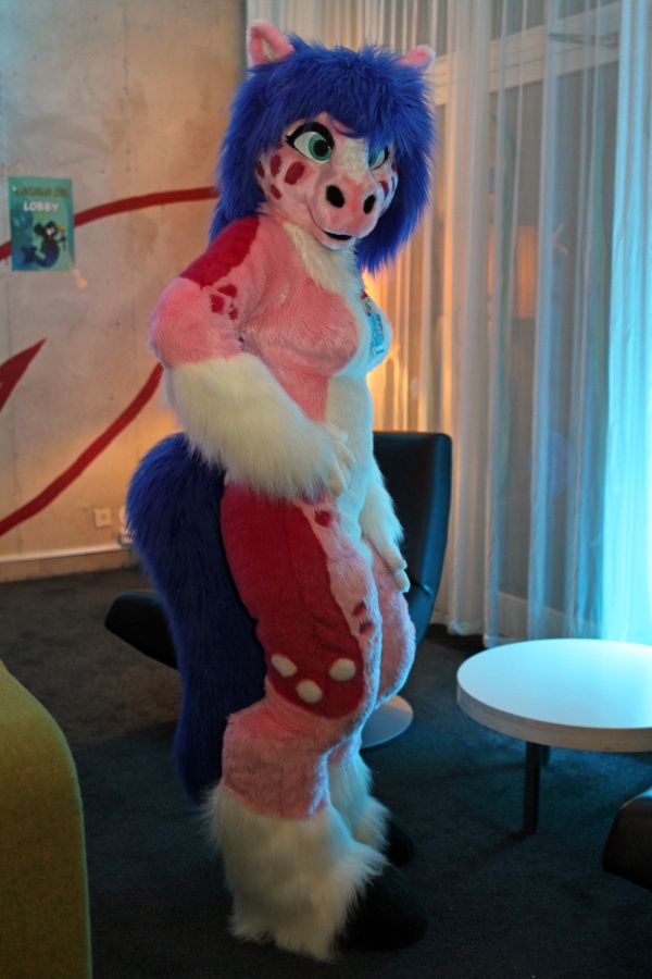 NordicFuzzCon 2016, Fursuits