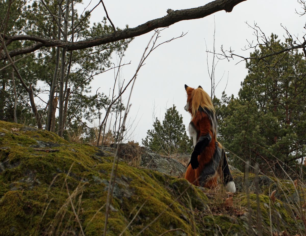 NordicFuzzCon 2016, Outdoor photos
