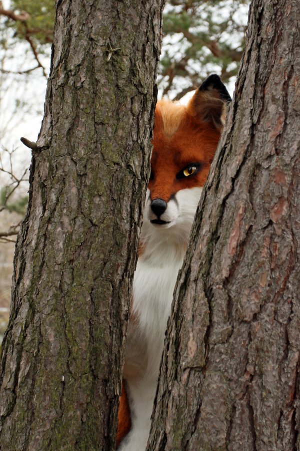 NordicFuzzCon 2016, Outdoor photos