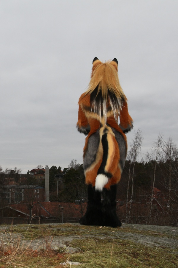 NordicFuzzCon 2016, Outdoor photos
