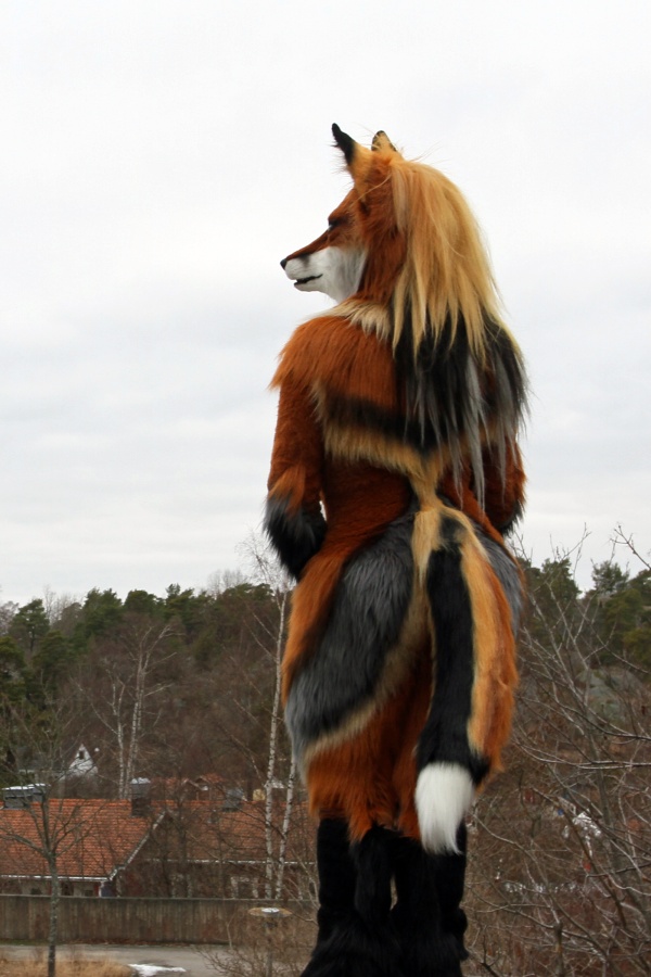 NordicFuzzCon 2016, Outdoor photos