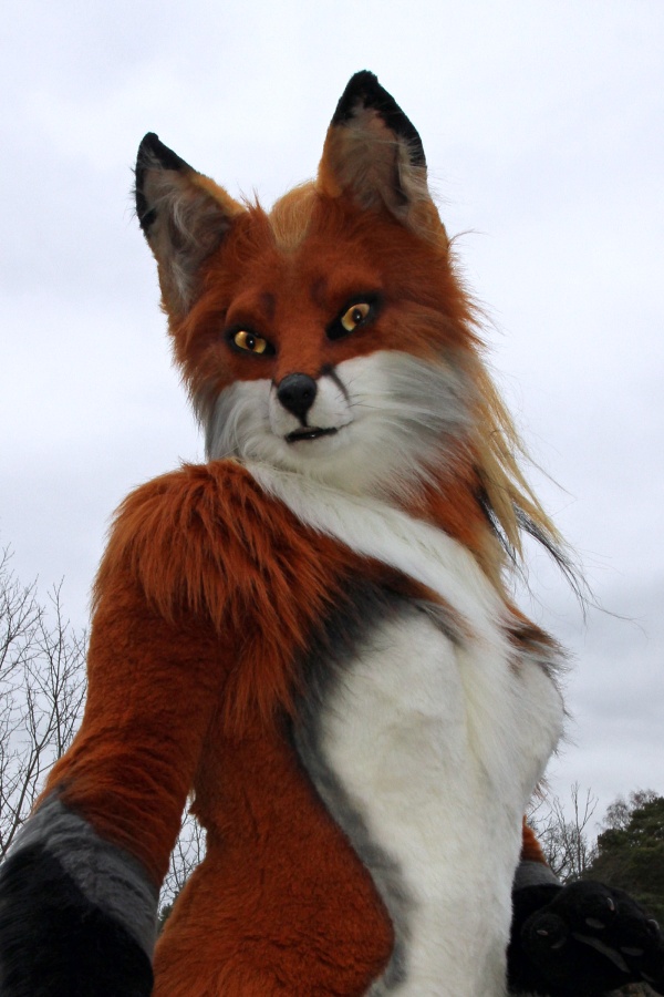 NordicFuzzCon 2016, Outdoor photos