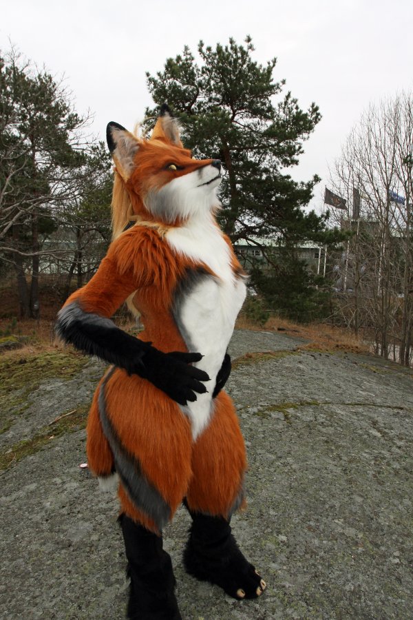 NordicFuzzCon 2016, Outdoor photos