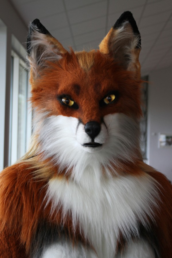 NordicFuzzCon 2016, Fursuits