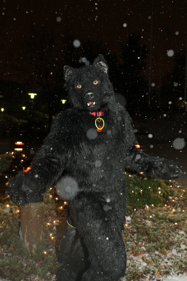 NordicFuzzCon 2016, Outdoor photos
