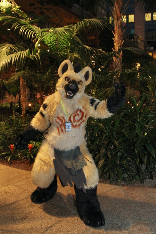NordicFuzzCon 2017, Suiters