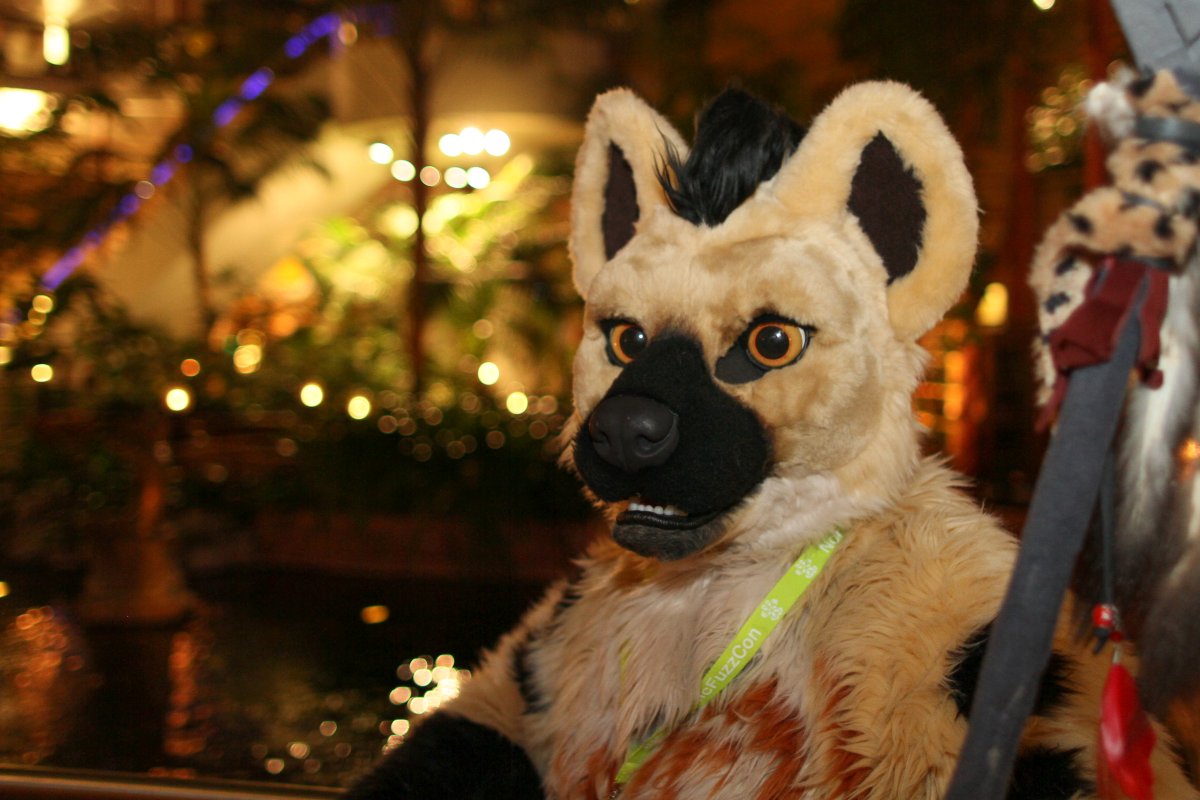 NordicFuzzCon 2017, Suiters