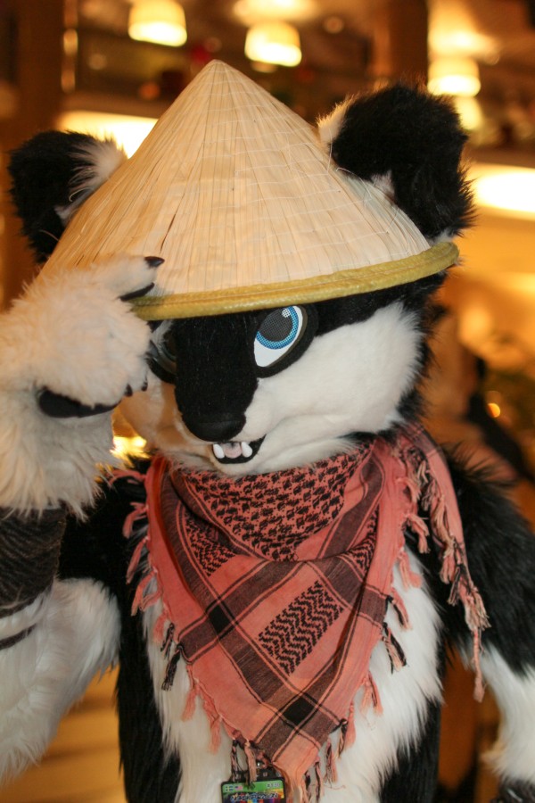 NordicFuzzCon 2017, Suiters