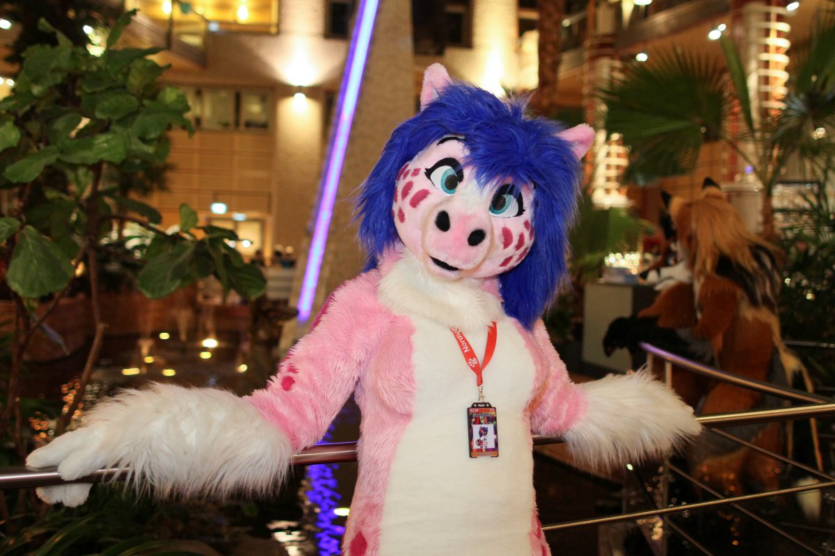 NordicFuzzCon 2017, Suiters
