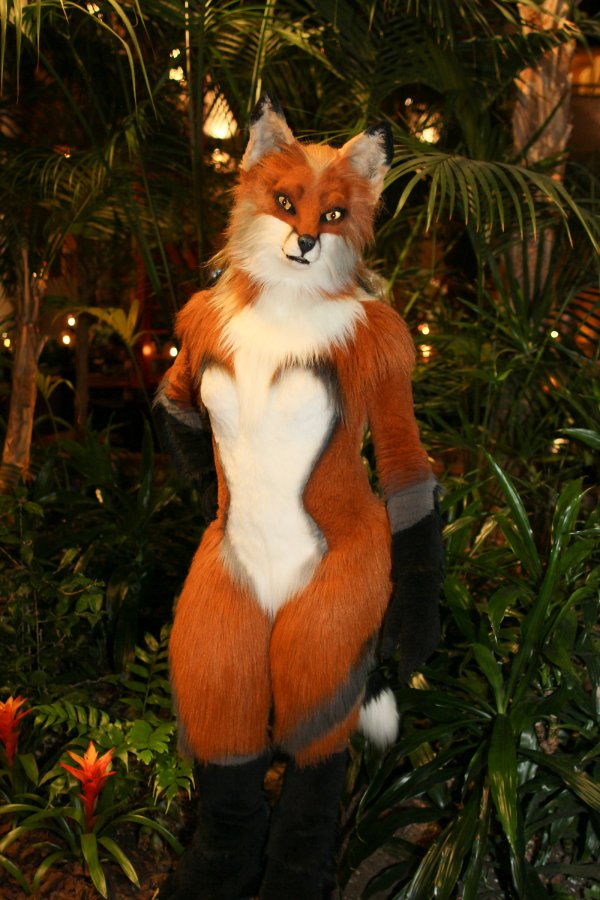 NordicFuzzCon 2017, Suiters