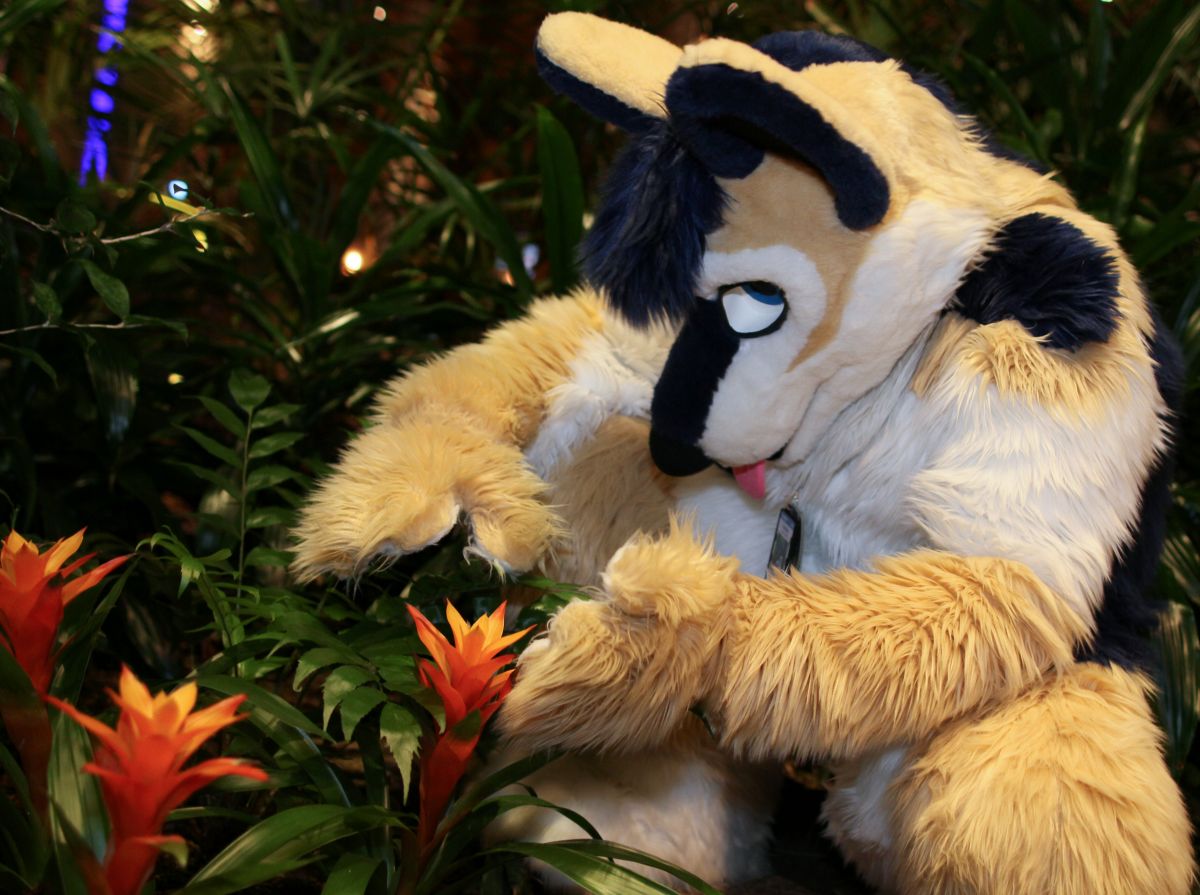 NordicFuzzCon 2017, Suiters