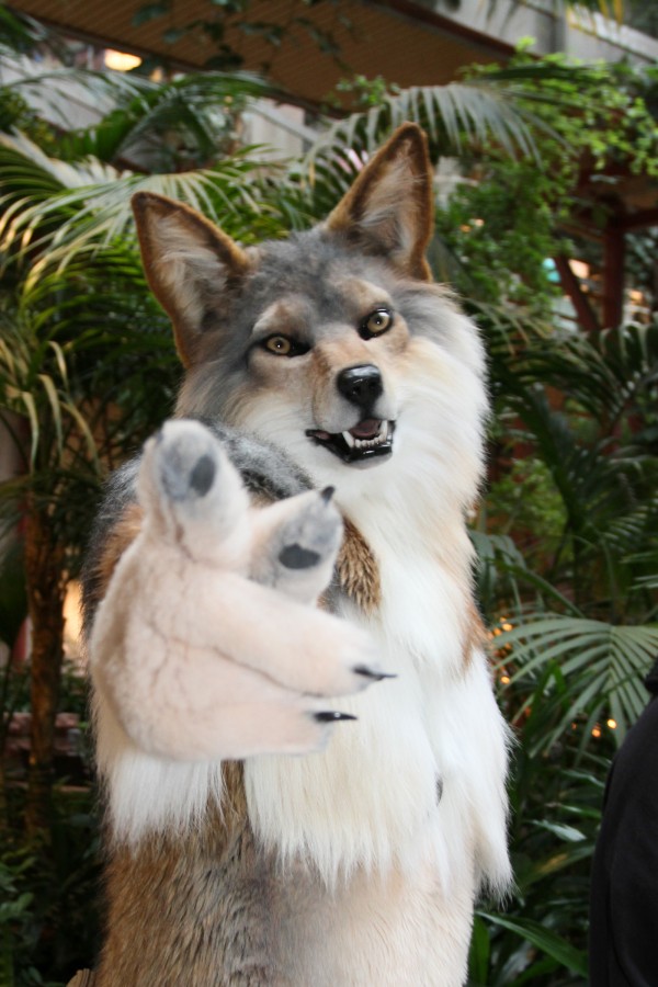 NordicFuzzCon 2017, Suiters