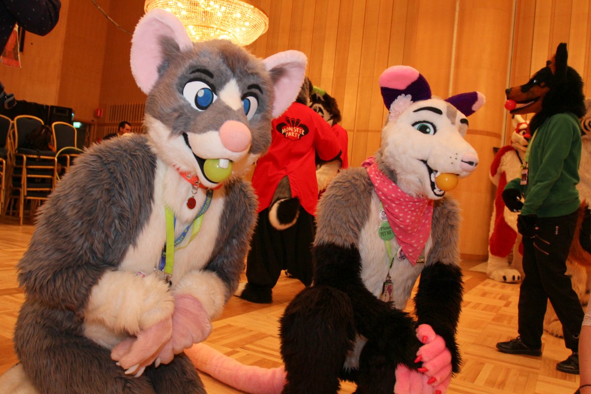NordicFuzzCon 2017
