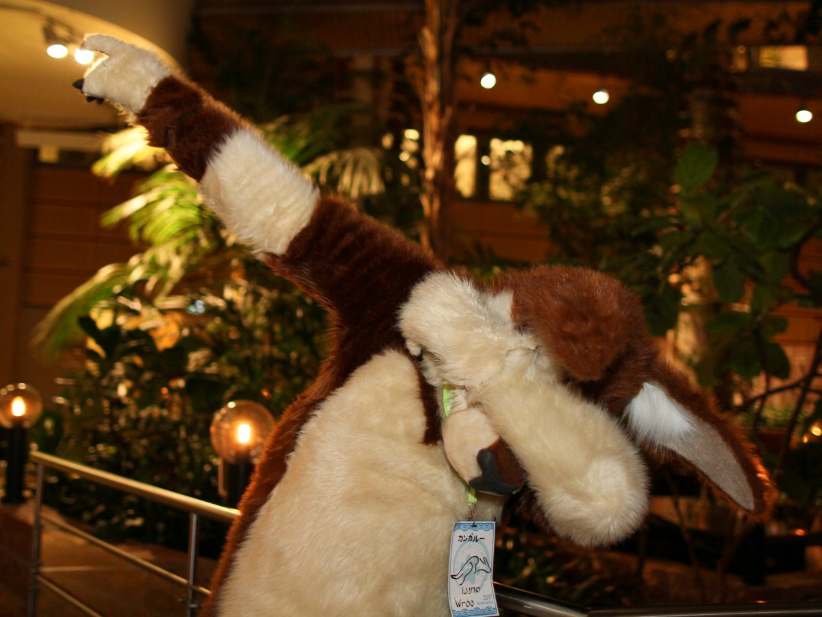 NordicFuzzCon 2017, Suiters