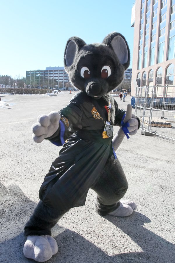 NordicFuzzCon 2017, Outside