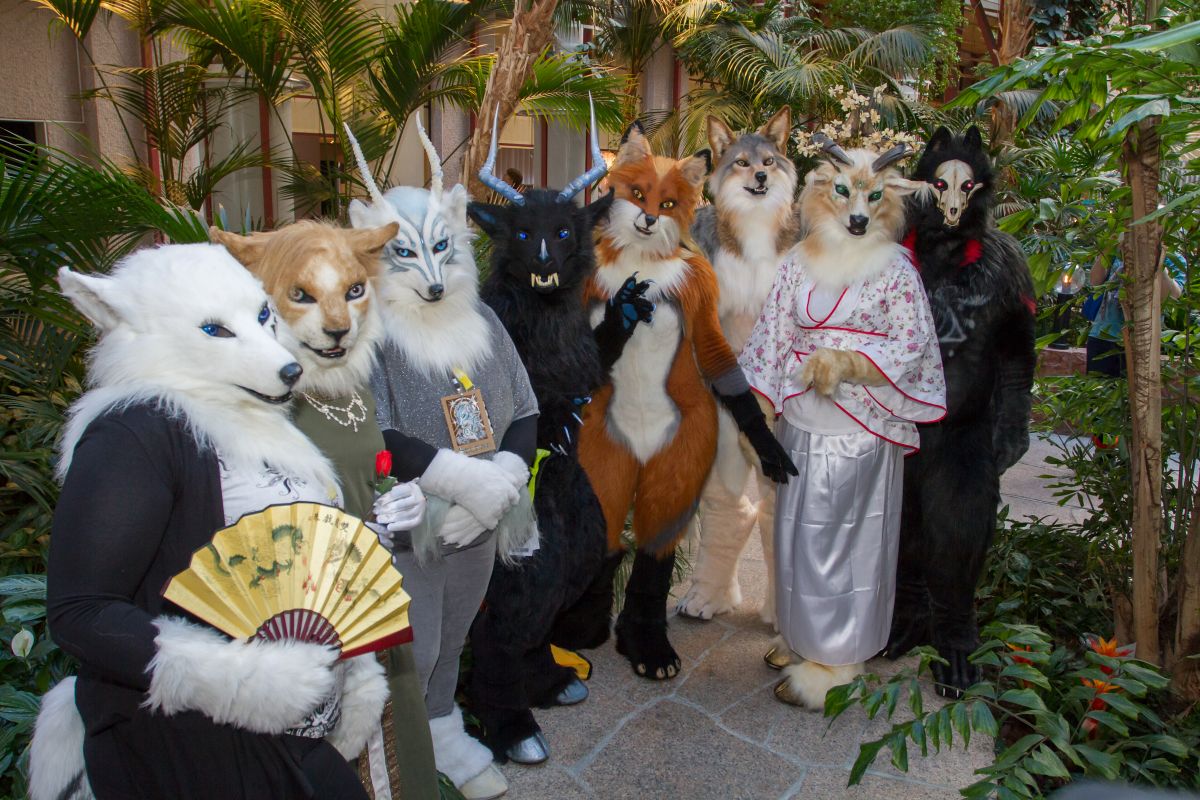 NordicFuzzCon 2017, Suiters