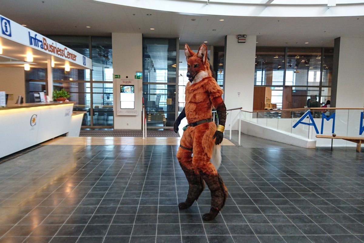 NordicFuzzCon 2018, Fuzz