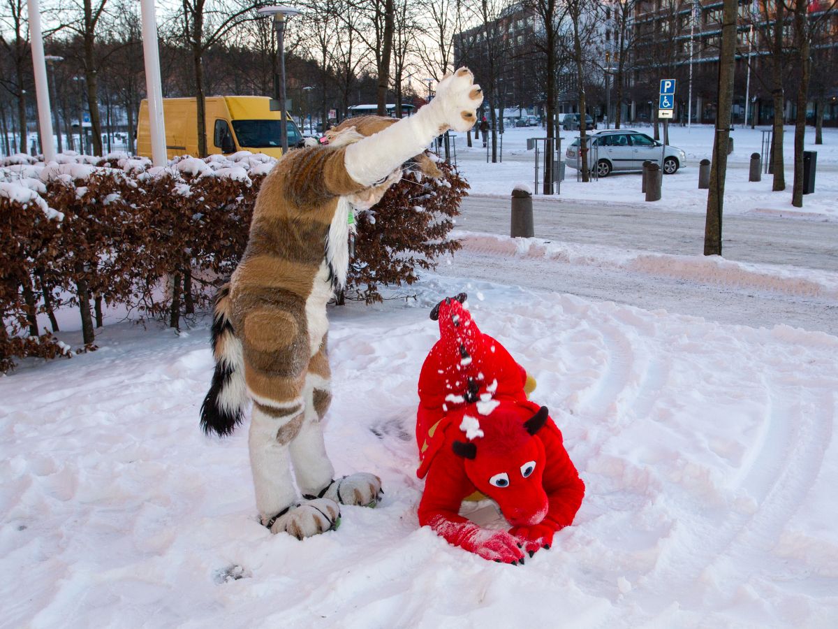 NordicFuzzCon 2018, Outdoor fuzz
