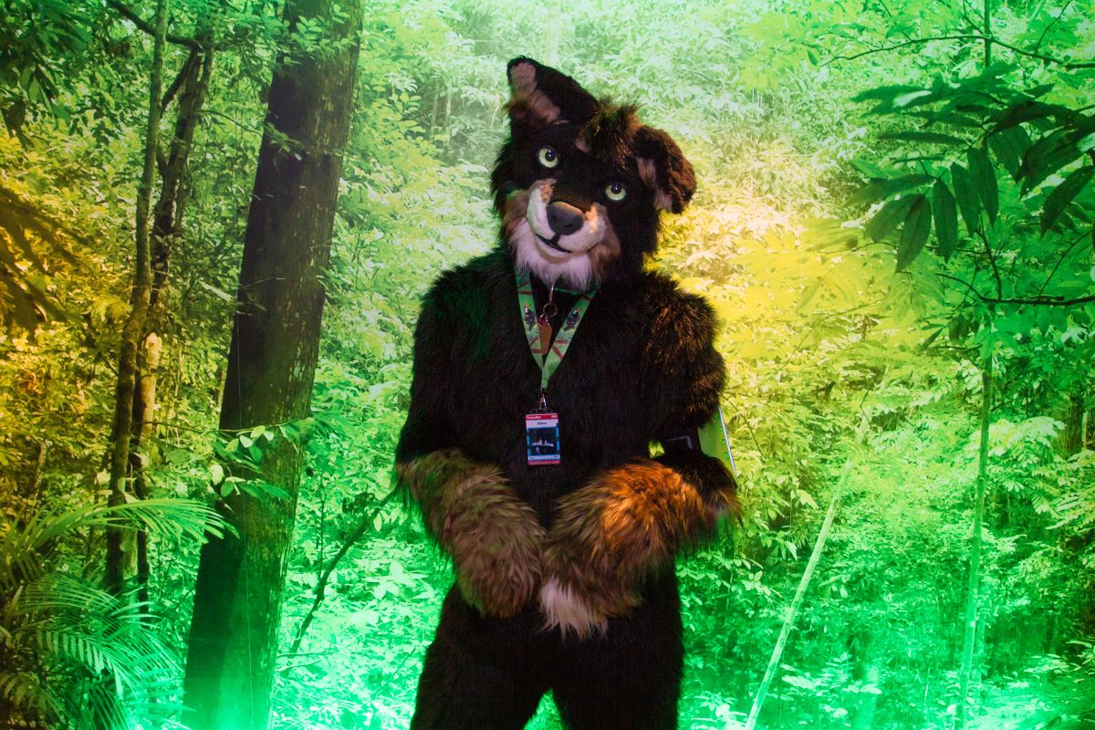 NordicFuzzCon 2018, Fuzz