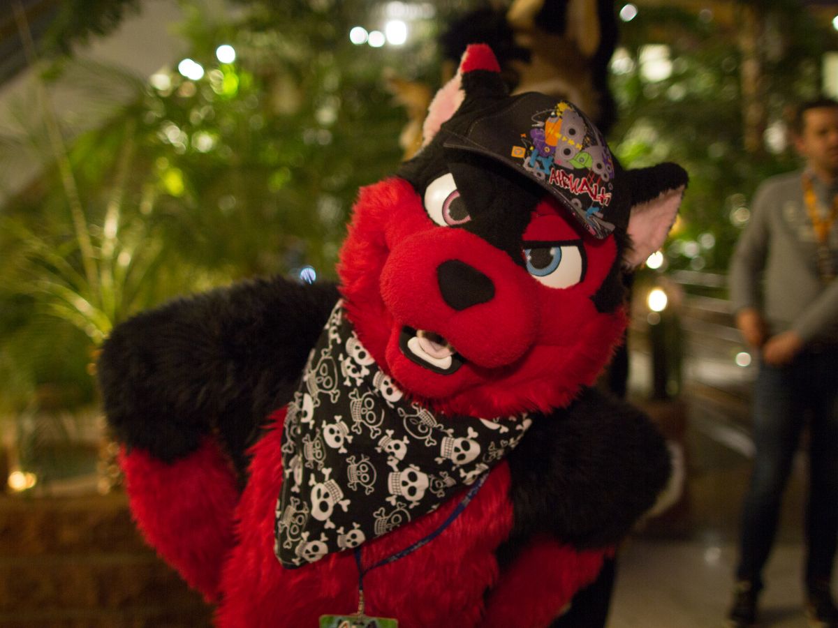 NordicFuzzCon 2018, Fuzz