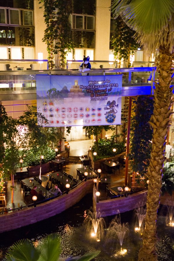 NordicFuzzCon 2018, Other photos