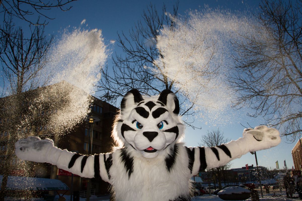 NordicFuzzCon 2018, Outdoor fuzz