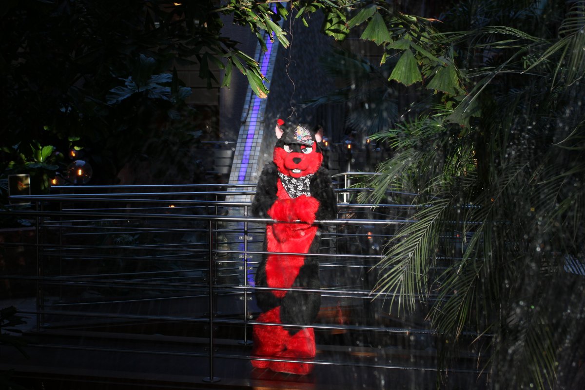 NordicFuzzCon 2018, Fuzz